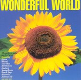 Wonderful World - Wonderful World