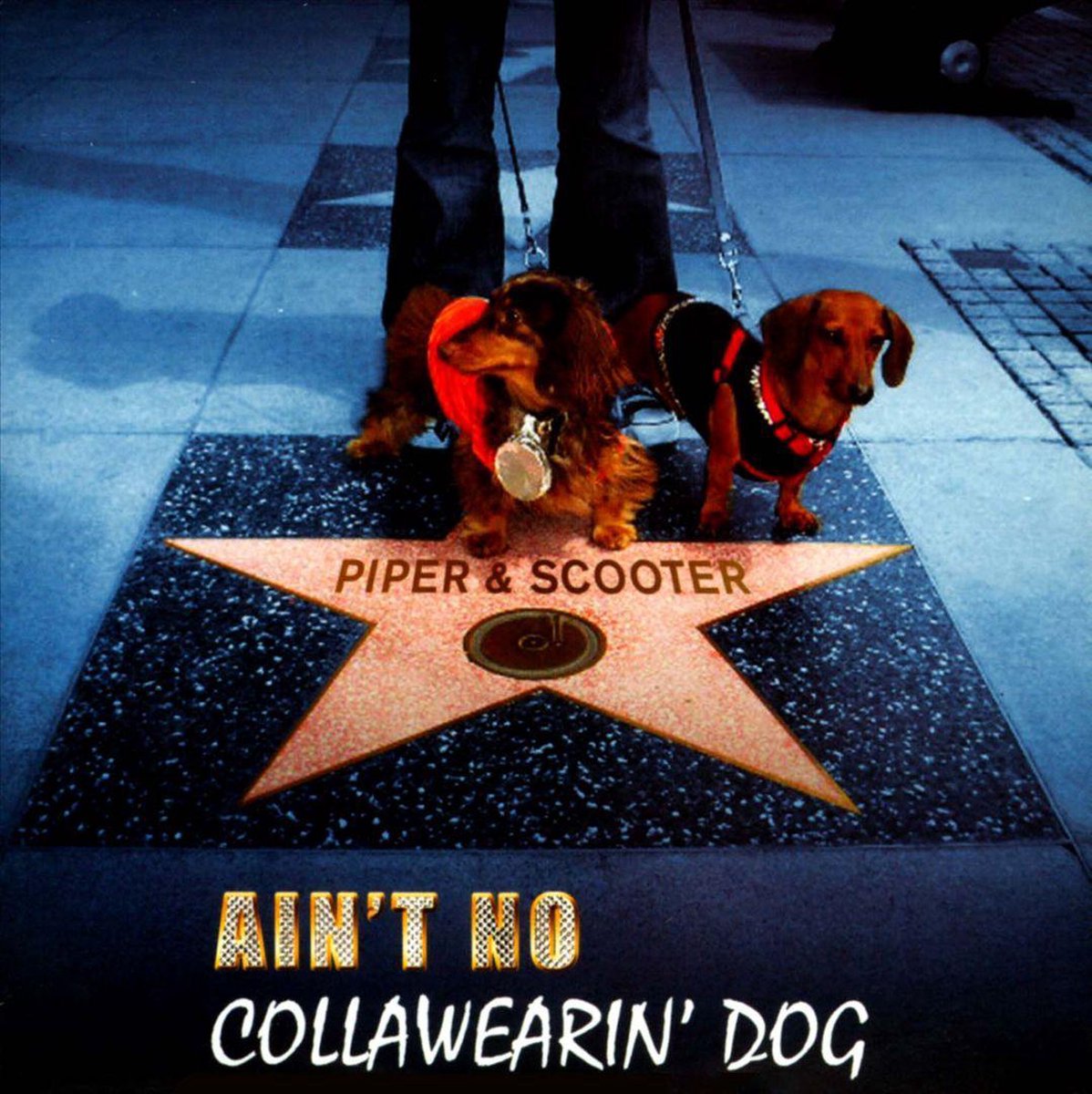 Aint No Collawearin Dog