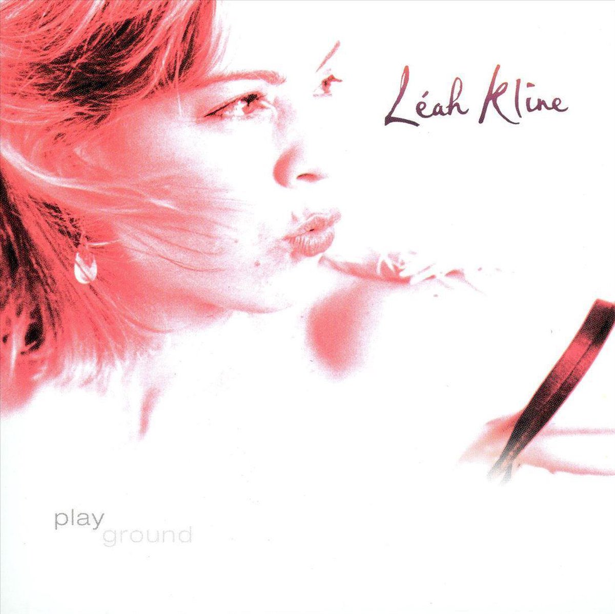 Afbeelding van product Playground  - Leah Kline