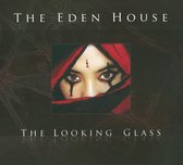 Looking Glass