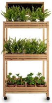 Planten trolley - planten kar - (41 x 159 x 69 cm) 3 Planken