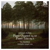 Trio Wanderer - Piano Trio No.1, Quartet No.3 (CD)