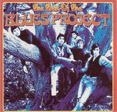 Best of the Blues Project [Rhino]