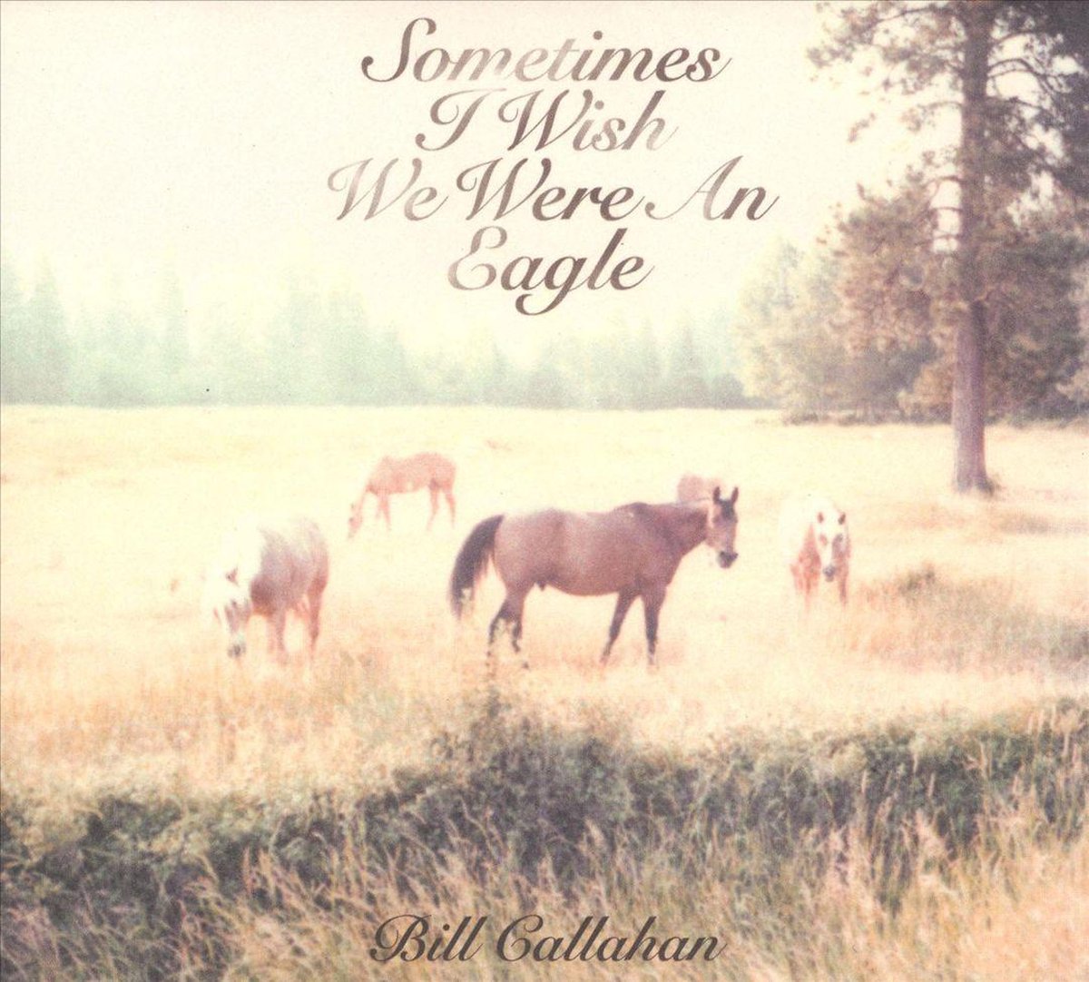 Sometimes I Wish We Were