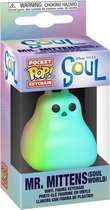Pocket POP keychain Disney Pixar Soul Mr Mittens