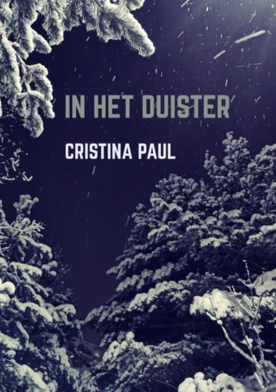 In het duister - cover