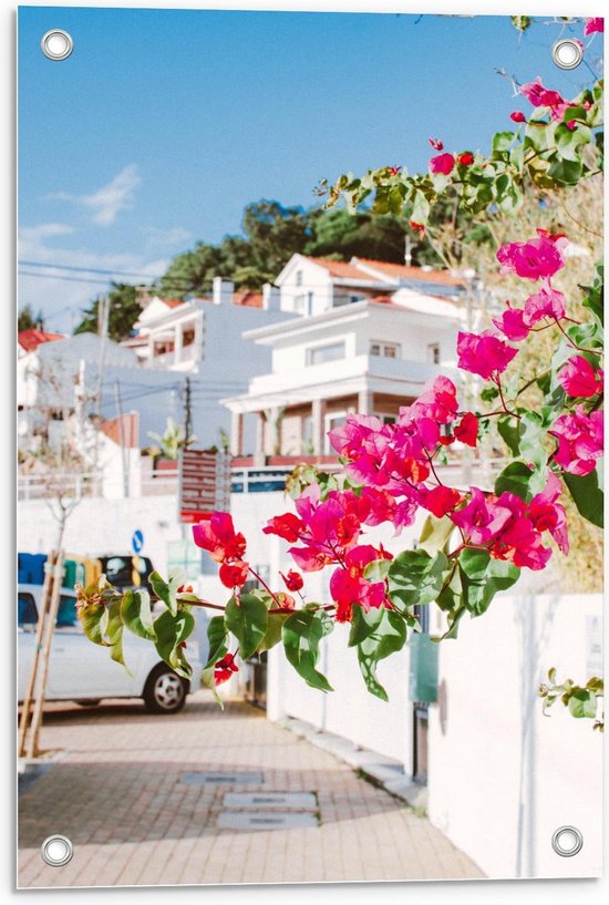 Tuinposter - Roze Bloemen in Wit Dorpje - Foto op Tuinposter (wanddecoratie voor buiten en binnen)