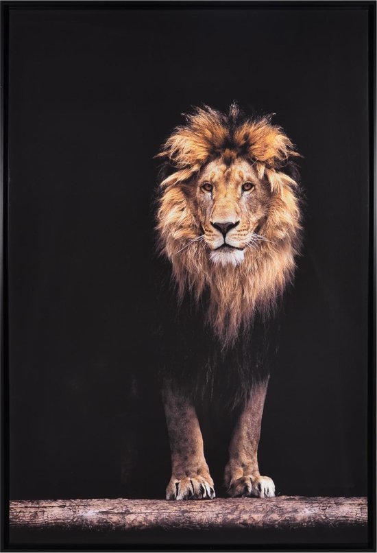 Canvas Schilderij Leeuw