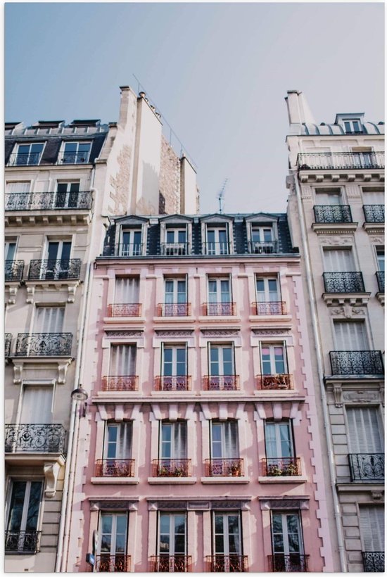 Poster – Roze Rijtjesgebouw - 40x60cm Foto op Posterpapier