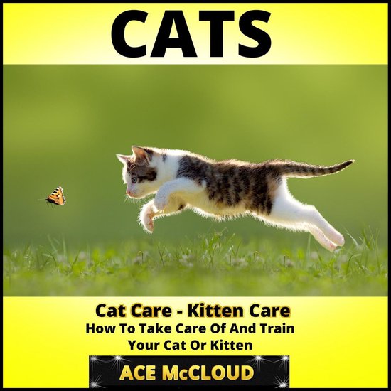 Cats Cat Care Kitten Care How To Take Care Of And Train Your Cat Or