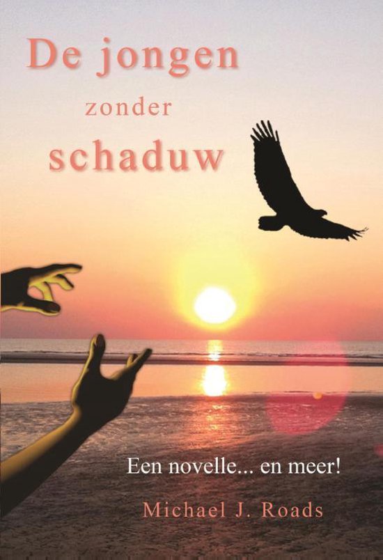 Livre 'Le garçon sans ombre' avec un coucher de soleil, la mer, un oiseau et deux mains.