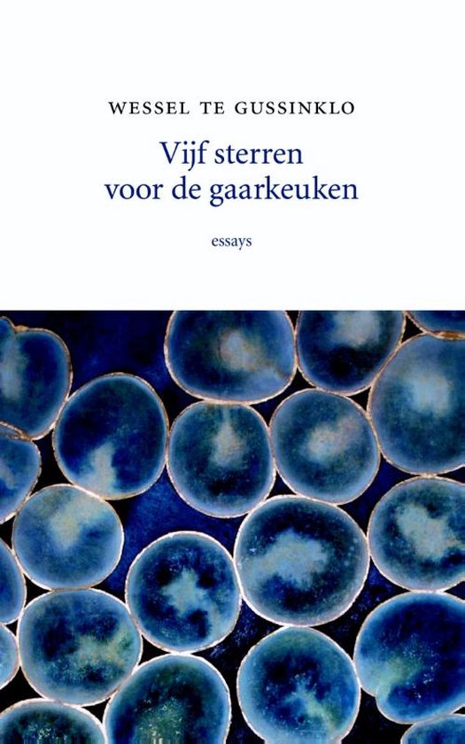 Vijf sterren voor de gaarkeuken, Wessel te Gussinklo 9789492313096 Boeken