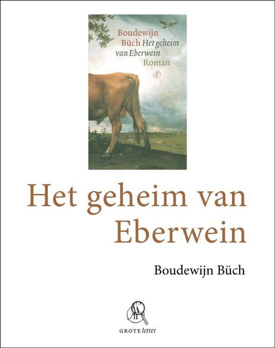 Het geheim van Eberwein - Boudewijn Buch