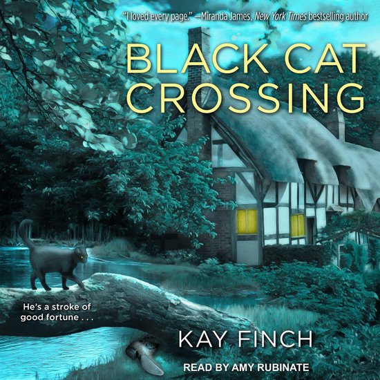 Black Cat Crossing - cover