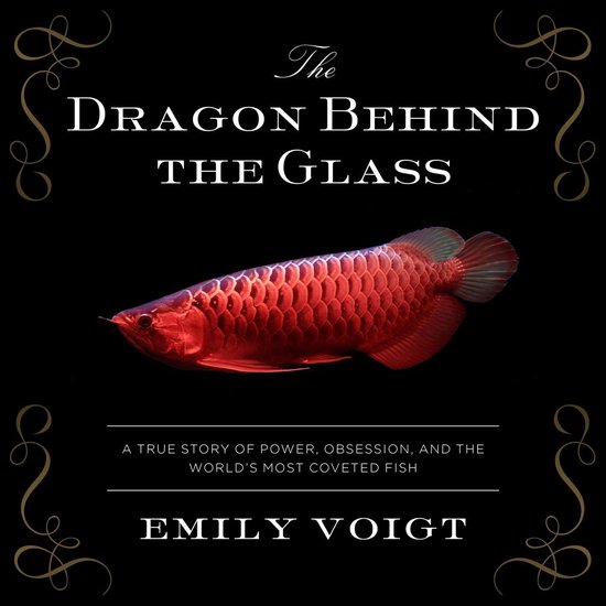 The Dragon Behind the Glass - cover