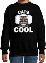 Dieren katten sweater zwart kinderen - cats are serious cool trui jongens/ meisjes - cadeau coole poes/ katten liefhebber 9-11 jaar (134/146)