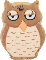 Squires Kitchen Fairy Forest Owl uitsteker| Koekjes uitsteekvorm Uil