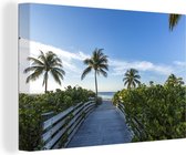 Canvas Schilderij Pad richting het strand in Florida - 30x20 cm - Wanddecoratie
