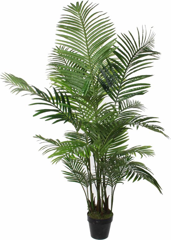 verlangen Grijp Lastig Mica Decorations Areca Palm Kunstplant - H130 x Ø140 cm | bol.com