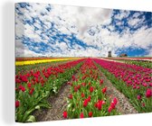 Une rangée de tulipes rouges sur toile 30x20 cm - petit - Tirage photo sur toile (Décoration murale salon / chambre)