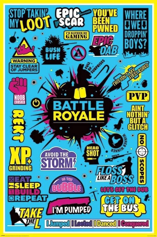 Poster Battle Royale Infographic 61x91,5cm