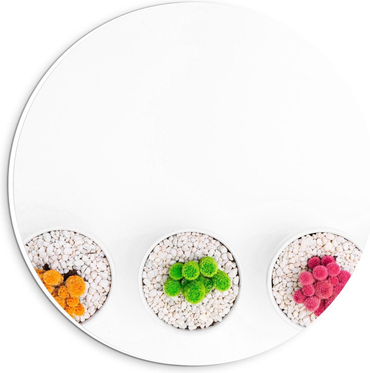 Forex Wandcirkel - Gekleurde Cactuspotjes - 20x20cm Foto op Wandcirkel (met ophangsysteem)