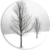 Dibond Wandcirkel - Bomen op Besneeuwd Gebied - 80x80cm Foto op Aluminium Wandcirkel (met ophangsysteem)