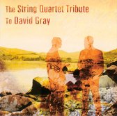 String Quartet Tribute to David Gray