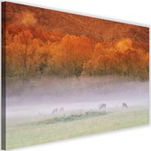 Schilderij Herten in de mist, 2 maten, oranje/groen, Premium print