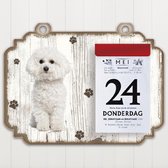 Scheurkalender 2023 Hond: Bichon FrisÃ©