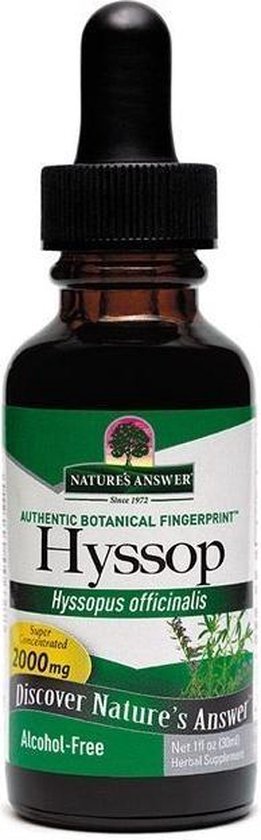 Hyssop Herb, Alcohol-Free (30 ml) - Nature's Answer - natures answer