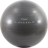 Ballon d'exercice Stanno Stanno Ballon de football - Argent - Taille 65 cm
