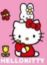 DP Hello Kitty met lijst 15 x 20 cm