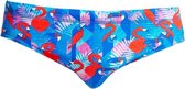 Flaming Vegas Classic brief - Heren | Funky Trunks