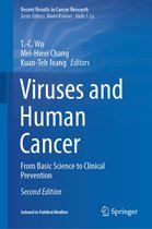 Recent Results in Cancer Research 217 - Viruses and Human Cancer