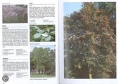 Encyclopedie - Tuinplanten encyclopedie