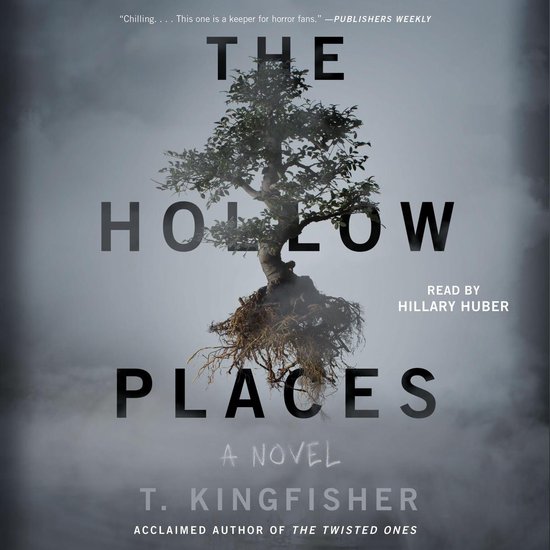 The Hollow Places - cover
