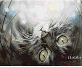 Protsvetnoy Paint by Numbers | Dreaming Kitty - ME1074E
