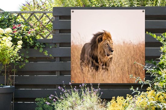 Lion regarde la lumière du soleil au Kenya affiche de jardin toile lâche