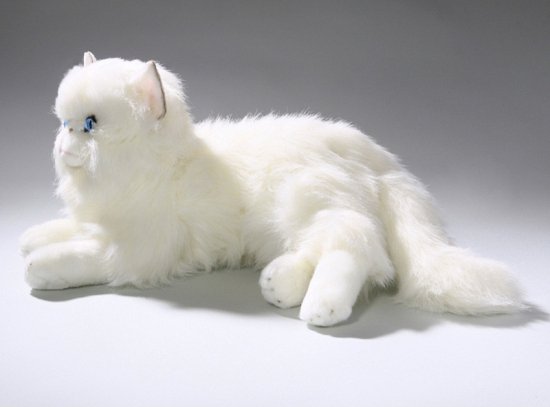 Peluche chat blanc en peluche 35 cm | bol.com