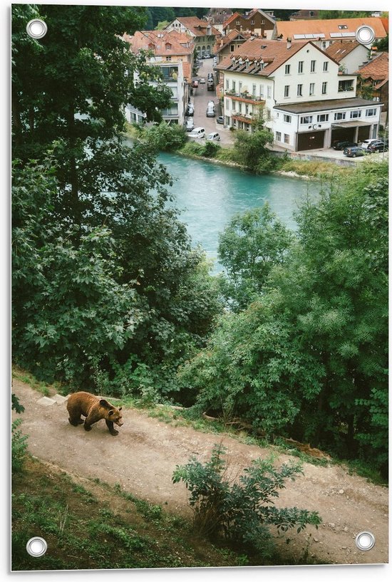 Tuinposter – Beer in Natuur naast Rivier - 40x60cm Foto op Tuinposter  (wanddecoratie voor buiten en binnen)