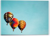 Acrylglas - Groepje Luchtballonnen in de Lucht - 40x30cm Foto op Acrylglas (Met Ophangsysteem)