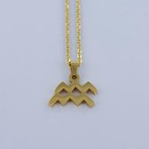 Sterrenbeeld / Horoscoop ketting - Goud - Waterman