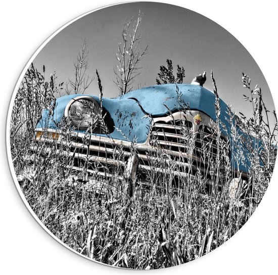 Forex Wandcirkel - Blauwe Retro Auto in Gras - Foto op Wandcirkel (met ophangsysteem)