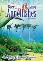 Breeding & Raising Angelfishes