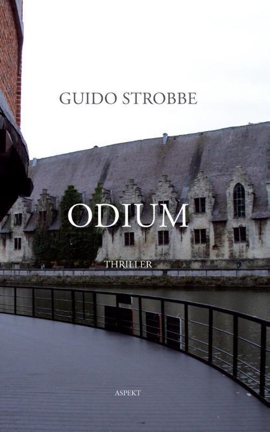 Cover van het boek 'Odium'