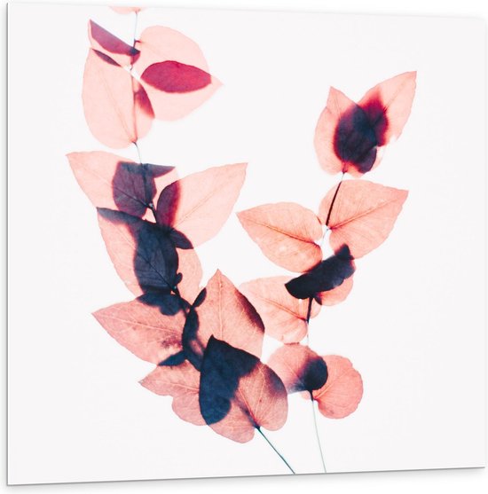 Forex - Roze Blaadjes aan een Takje op Witte Achtergrond  - 100x100cm Foto op Forex