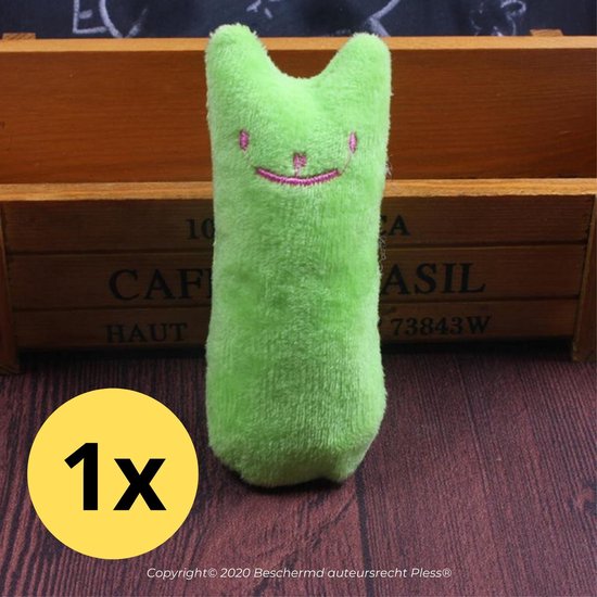 1x Kattenkruid Catnip - Speelgoed Groen | bol.com