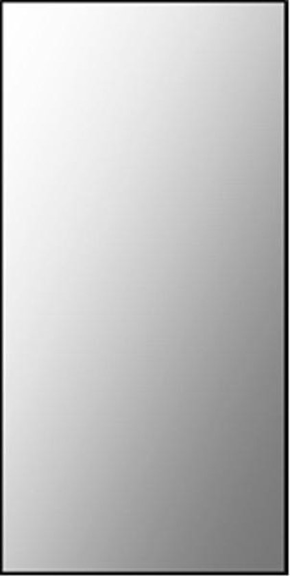 atomair begroting Magnetisch Plieger Basic spiegel sanitair 60x30cm | bol.com