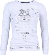 Grijze HOGWARTS HARRY POTTER blouse